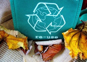 Residents are advised to put their rubbish out early on Sunday night for Monday collection. PIcture: Shirley Hirst via Pixabay