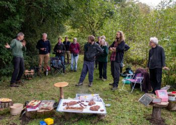 Friends of Ruscombe Wood volunteers gather to celebrate the site's 30th anniversary