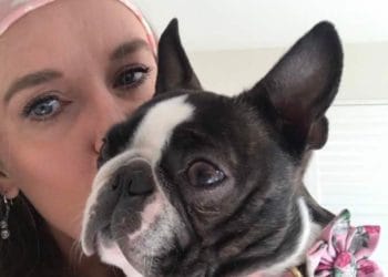 Beryl makes up one half of Jules' Boston Terrier complement. Picture: Jules Hawkey