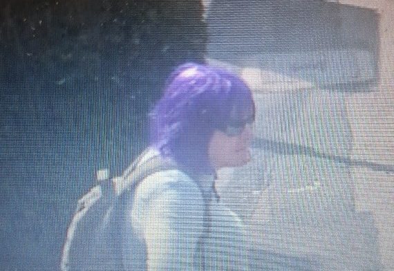 British Transport Police have released CCTV images of a person they are looking to speak to in connection with and incident of indecent exposure.