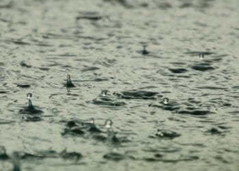 Heavy rain Picture:  Roman Grac from Pixabay