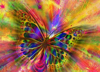 Iolanthe delighted its audience at Woodley's Oakwood Centre. Picture Gerd Altmann via Pixabay