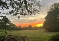 The area is a corridor for wildlife. Picture courtesy of Save Our Edneys Hill group