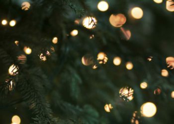 Spencers Wood Village Hall will be holding a Christmas tree lighting ceremony to mark the start of the festive period. Picture: Morgane le Breton via Unsplash