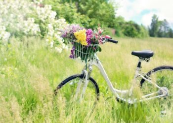 More residents will be encouraged to walk and cycle rather than taking the car. Picture: Jill Wellington via Pixabay