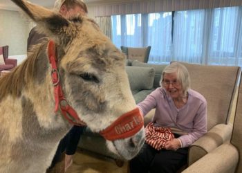 Charlie visited every residents at Parsons Grange on what proved to be a busy day for the donkey. Picture: Parsons Grange