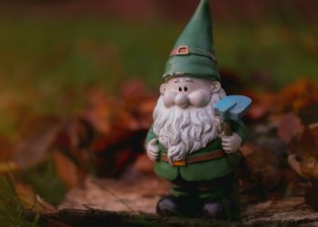 Shinfield children will be treated to an elf experience this Christmas. Picture: Craig McLachlan via Unsplash
