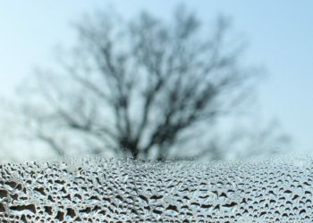 January can be a cold, miserable month Picture: Alicja from Pixabay