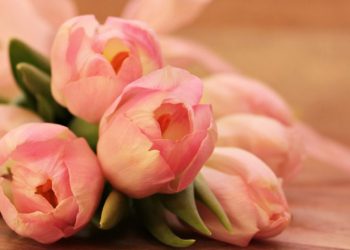 Members and visitors can hear the Mothers Union plans for 2023. pic NoName 13 via Pixabay