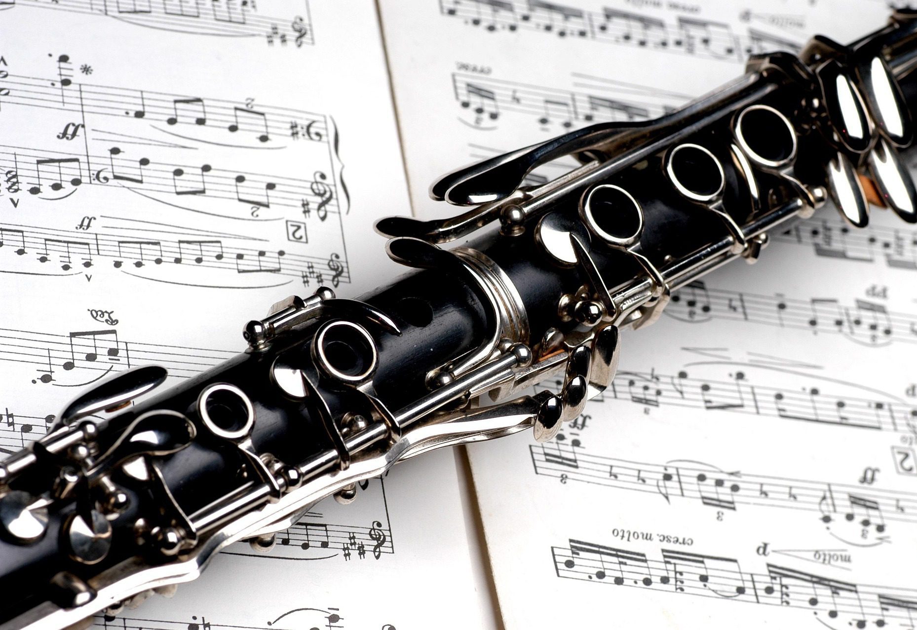 Hayley Jenkins on LinkedIn: #clarinet #saxophone #singlereed #woodwind  #communitymusic