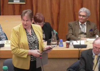 Cllr Imogen Shepherd-Dubey giving her budget speech in the council chamber Picture: Wokingham Lib Dems