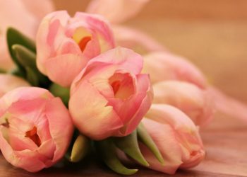 The Mothers Union meets monthly in Wokingham. Picture: NoName 13 via Pixabay