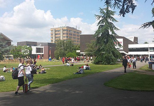 The University of Reading will be working alongside the British Science Association to use science research to better understand local questions and priorities in under-represented communities in Reading and Slough. Picture: Chris Wood