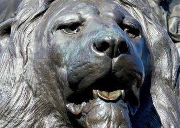 The Lions of Traflagar Square