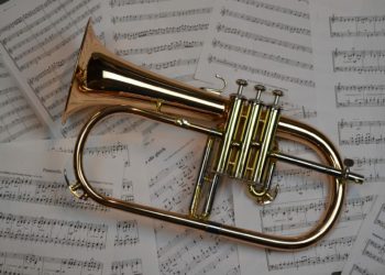 Second to none: The Second Band will play at the Town Hall. Picture: Jaron Gmn via Pixabay