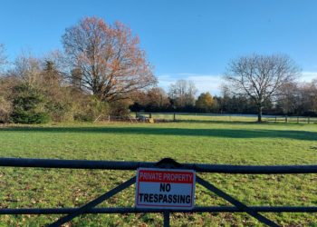 Willowmead field in Hurst Picture: Sue Corcoran