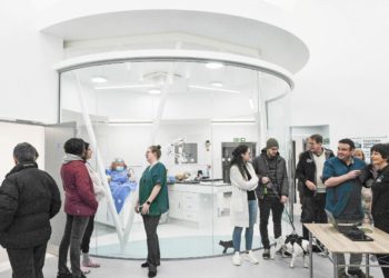 The Vets Klinic opening in Woodley on Saturday.