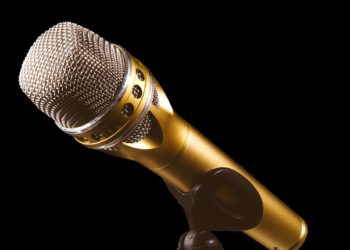 Toastmasters will practise their speechmaking skills . PIcture: Alexa via Pixabay