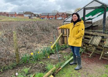 NO PRIVACY: Ms York says that some passersby have tried accessing her garden at this point. Picture: Ji-Min Lee