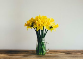 Dementia friendly gatherings at Wokingham Library. Picture: Annie Spratt via Unsplash