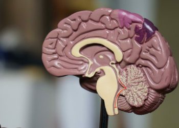 Dr James Brown will lead the talk exploring ADHD at the Edit Morely lecture Theatre at the University of Reading on Thursday, May 4. Picture: Robina Weermeijer via Unsplash