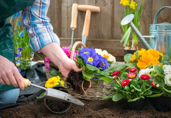 Gardening is a good activity for health beneifts
