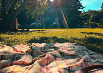The picnic will take place on Monday, May 8. Picture: Jennie Clavel