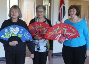Members of Tai Chi For Wellbeing employed Chinese fans during the Twyford class. Picture: Tricia Miller