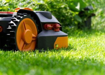 The Campaign For Rural England is hoping people will mow less this summer Picture: Markus Distelrath from Pixabay