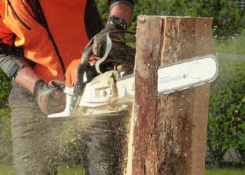 Works are taking place today in Howard Palmer Gardens, and tomorrow in Elms Field. Picture: Petra Blume via Pixabay