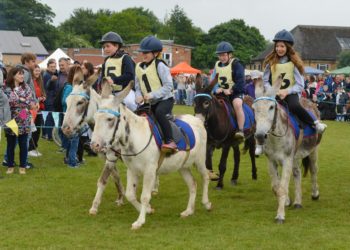 The Twyford Donkey Derby on Sunday.

The first race.