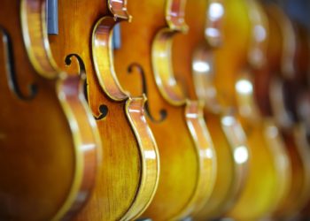 Crowthorne Symphony Orchestra will be back in action this Saturday Picture: HeungSoon from Pixabay