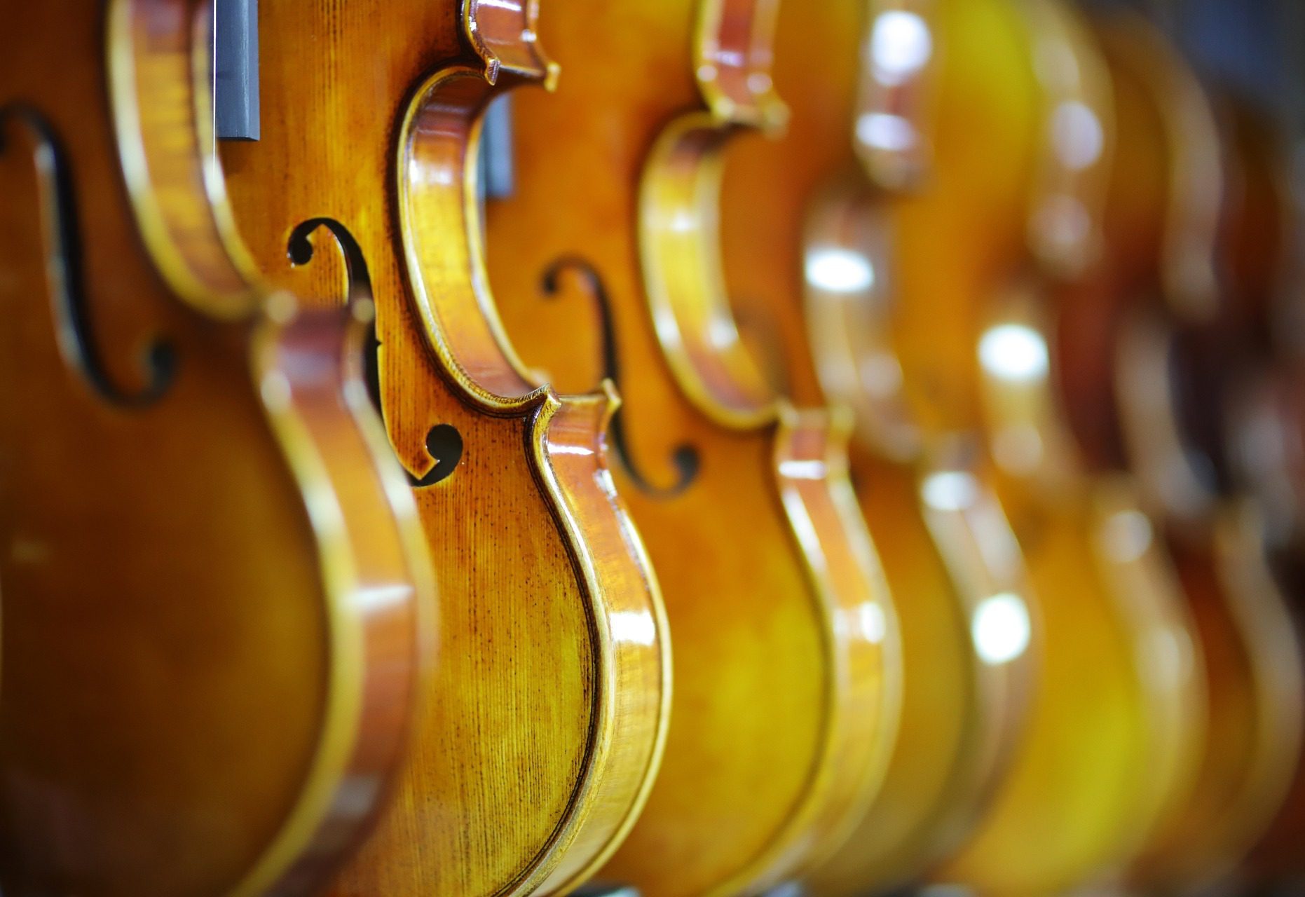 Crowthorne Symphony Orchestra will be back in action this Saturday Picture: HeungSoon from Pixabay