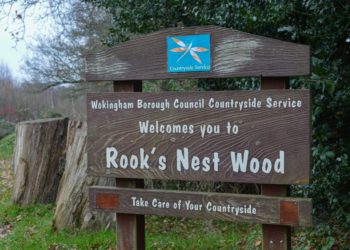 Rook's Nest Farm sits opposte Rook's Nest Wood. Picture: Dijana Capan