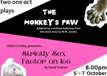 The flyer for Twyford Drama's autumn production