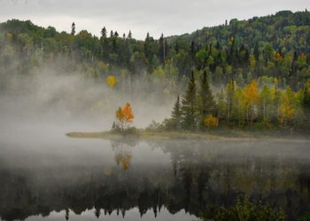 Mist rises over a Candadian lake Picture: Alain Audet from Pixabay