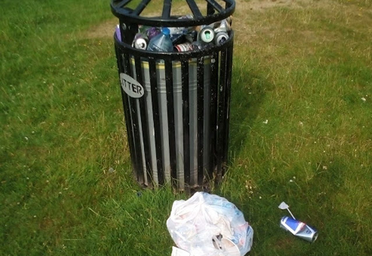 Bins to emptied less, fewer grass cuts, and not as much road sweeping as council looks to save £