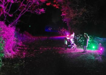 The First Days Children's Charity Glow Walk will take place in Dinton Pastures this November Pictures: First Days Children's Charity