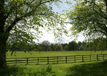 The CPRE seeks volunteers to monitor planning applications and help preserve green spaces in the borough. Picture: Peter Musk via Unsplash