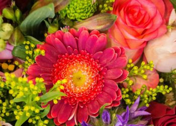 All Saints Church will celebrate its reopening with a Flower Festival in October. Picture: Hugo Kruip via Unsplash