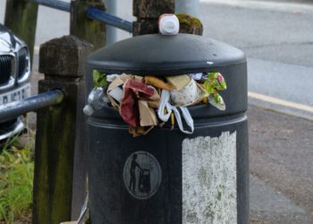 People are beginning to pile rubbish around full bins. Picture: Andrew Batts