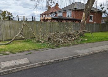 The fallen bough had to be moved from the road by residents. Picture: Jackie Rance