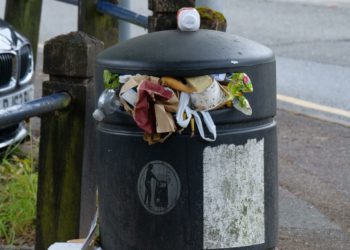 People are beginning to pile rubbish around full bins. Picture: Andrew Batts