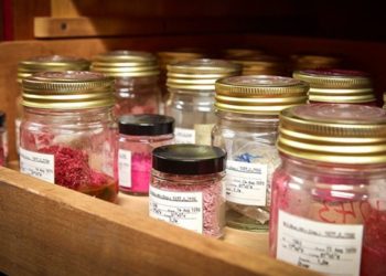 Specimens from the Natural History meseum.