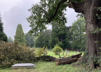 A large oak branch has fallen into St Paul's churchyard, Wokingham. Picture: Emma Merchant