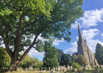 A 300 year old oak tree in Wokingham will have to be felled following a report that says it is unsafe to leave. Picture: Richard Lamey