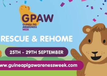 This week is Guinea Pig Awareness Week