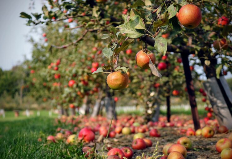 Picture: Skylar Zilka via Unsplash