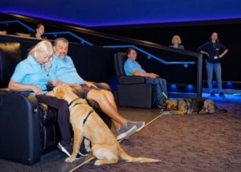The treinee guide dogs at Showcase cinema.