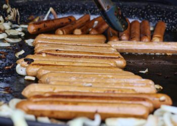 Is it possible for the University of Reading to switch over all its catering to vegan-only? Some ideas were available to try at Reading Vegan Fiesta at Forbury Garden Picture: Dijana Capan/DVision Images